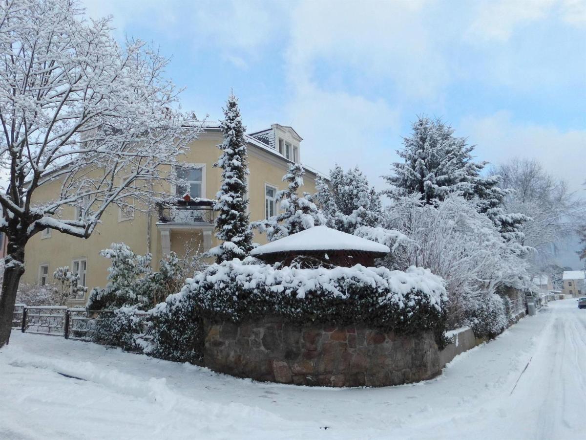 Ferienwohnung Jung Radebeul Dış mekan fotoğraf